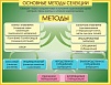 СТЕНД "МЕТОДЫ СЕЛЕКЦИИ И БИОТЕХНОЛОГИИ"