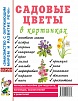 Цветы в картинках