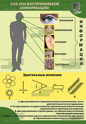 СТЕНД КАК МЫ ВОСПРИНИМАЕМ ИНФОРМАЦИЮ