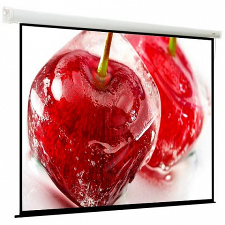 Экран моторизированный Viewscreen Breston 203*203
