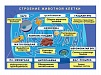 ПЛАКАТ МАГНИТНЫЙ "СТРОЕНИЕ ЖИВОТНОЙ КЛЕТКИ"
