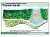 РЕЛЬЕФНАЯ ТАБЛИЦА "КЛЕТОЧНОЕ СТРОЕНИЕ ЛИСТА", А1