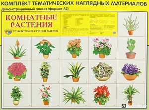 Демонстрационные картинки "Комнатные растения"