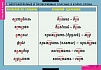 ПРАВОПИСАНИЕ ГЛАСНЫХ В КОРНЕ СЛОВА (ТАБЛИЦЫ 5 ШТ. 68Х98 СМ)