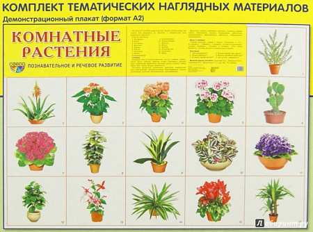 Демонстрационные картинки "Комнатные растения"