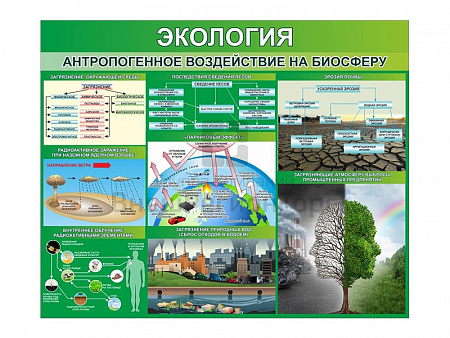 СТЕНД "ЭКОЛОГИЯ. АНТРОПОГЕННОЕ ВОЗДЕЙСТВИЕ НА БИОСФЕРУ"