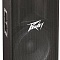 Акустическая система PEAVEY PV115
