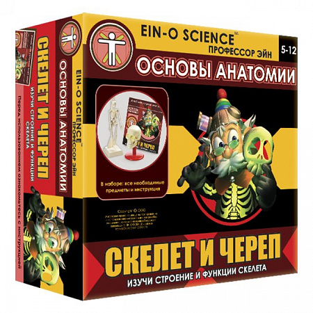 НАБОР ПРОФЕССОР ЭЙН: СКЕЛЕТ И ЧЕРЕП