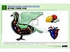 РЕЛЬЕФНАЯ ТАБЛИЦА "ВНУТРЕННЕЕ СТРОЕНИЕ ГОЛУБЯ", А1
