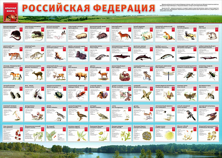 СТЕНД "КРАСНАЯ КНИГА РФ"