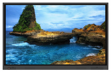 Интерактивная LED панель Newline 65" TruTouch TT-6518VN: 4K, 20 касаний