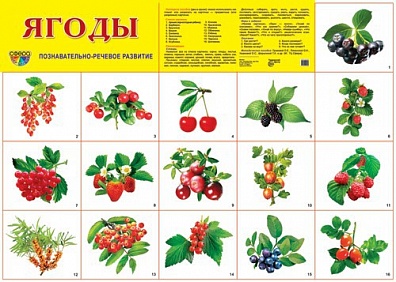 Ягоды в картинках