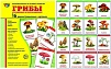 Демонстрационные картинки "Грибы съедобные и несъедобные"