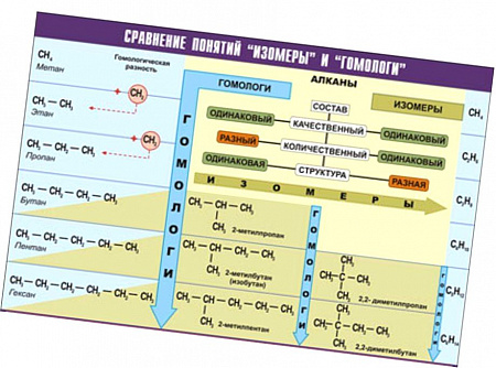 ТАБЛИЦА ДЕМОНСТРАЦИОННАЯ "СРАВНЕНИЕ ПОНЯТИЙ ИЗОМЕР И ГОМОЛОГ", 100Х140 СМ