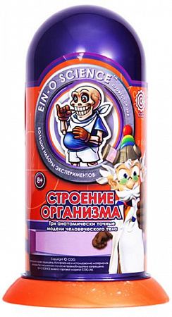 НАБОР ПРОФЕССОР ЭЙН: СТРОЕНИЕ ОРГАНИЗМА