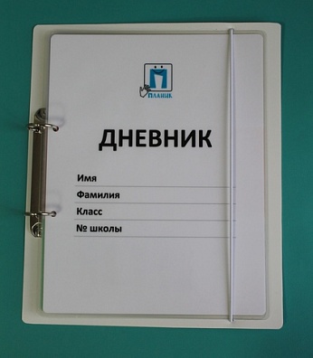 ДНЕВНИК ШКОЛЬНИКА (С ПОЛНЫМ НАБОРОМ КАРТОЧЕК)