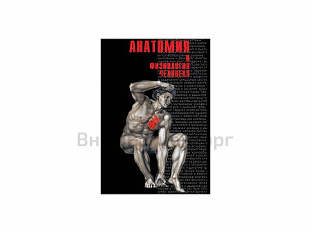 DVD КОМПАКТ-ДИСК "АНАТОМИЯ-1" (УЧЕБНЫЙ ФИЛЬМ)