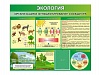 СДЕНД "ЭКОЛОГИЯ. ОРГАНИЗАЦИЯ И ФУНКЦИОНИРОВАНИЕ СООБЩЕСТВ"