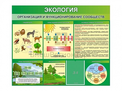 СДЕНД "ЭКОЛОГИЯ. ОРГАНИЗАЦИЯ И ФУНКЦИОНИРОВАНИЕ СООБЩЕСТВ"