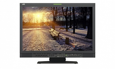 Монитор JVC DT-V17G25E