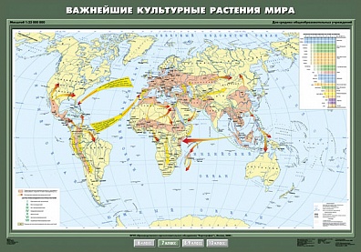 УЧЕБНАЯ КАРТА "ВАЖНЕЙШИЕ КУЛЬТУРНЫЕ РАСТЕНИЯ МИРА", 100Х140