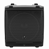 Акустическая система MACKIE DLM12