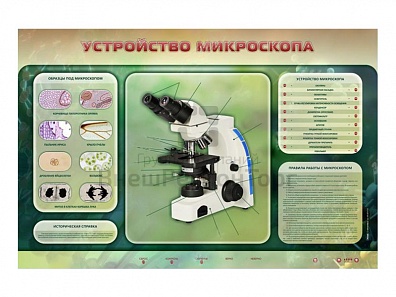 ЭЛЕКТРИФИЦИРОВАННЫЙ СТЕНД "УСТРОЙСТВО МИКРОСКОПА И ПРАВИЛА РАБОТЫ C НИМ"