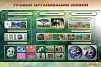 ЭЛЕКТРИФИЦИРОВАННЫЙ СТЕНД "УРОВНИ ОРГАНИЗАЦИИ ЖИЗНИ"