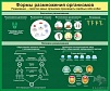 СТЕНД "ФОРМЫ РАЗМНОЖЕНИЯ ОРГАНИЗМОВ"