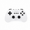 P3060001 БЕСПРОВОДНОЙ ПУЛЬТ УПРАВЛЕНИЯ BLUETOOTH CONTROLLERV1