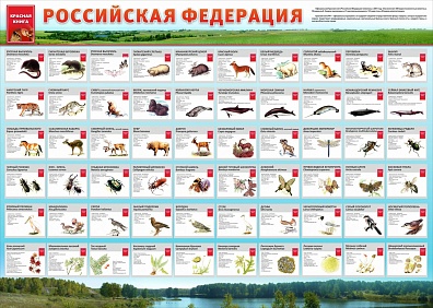 СТЕНД "КРАСНАЯ КНИГА РФ"
