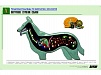 РЕЛЬЕФНАЯ ТАБЛИЦА "ВНУТРЕННЕЕ СТРОЕНИЕ СОБАКИ", А1