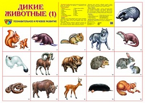 Демонстрационные картинки "Дикие животные - 1"