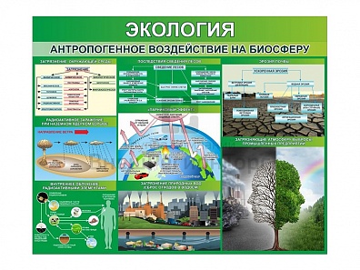 СТЕНД "ЭКОЛОГИЯ. АНТРОПОГЕННОЕ ВОЗДЕЙСТВИЕ НА БИОСФЕРУ"