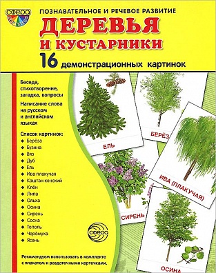 Демонстрационные картинки "Деревья и кустарники"