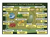 ПЛАКАТ МАГНИТНЫЙ "СТРОЕНИЕ РАСТИТЕЛЬНОЙ КЛЕТКИ"