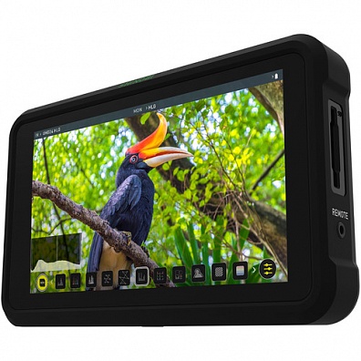 Монитор Atomos Shinobi HDMI
